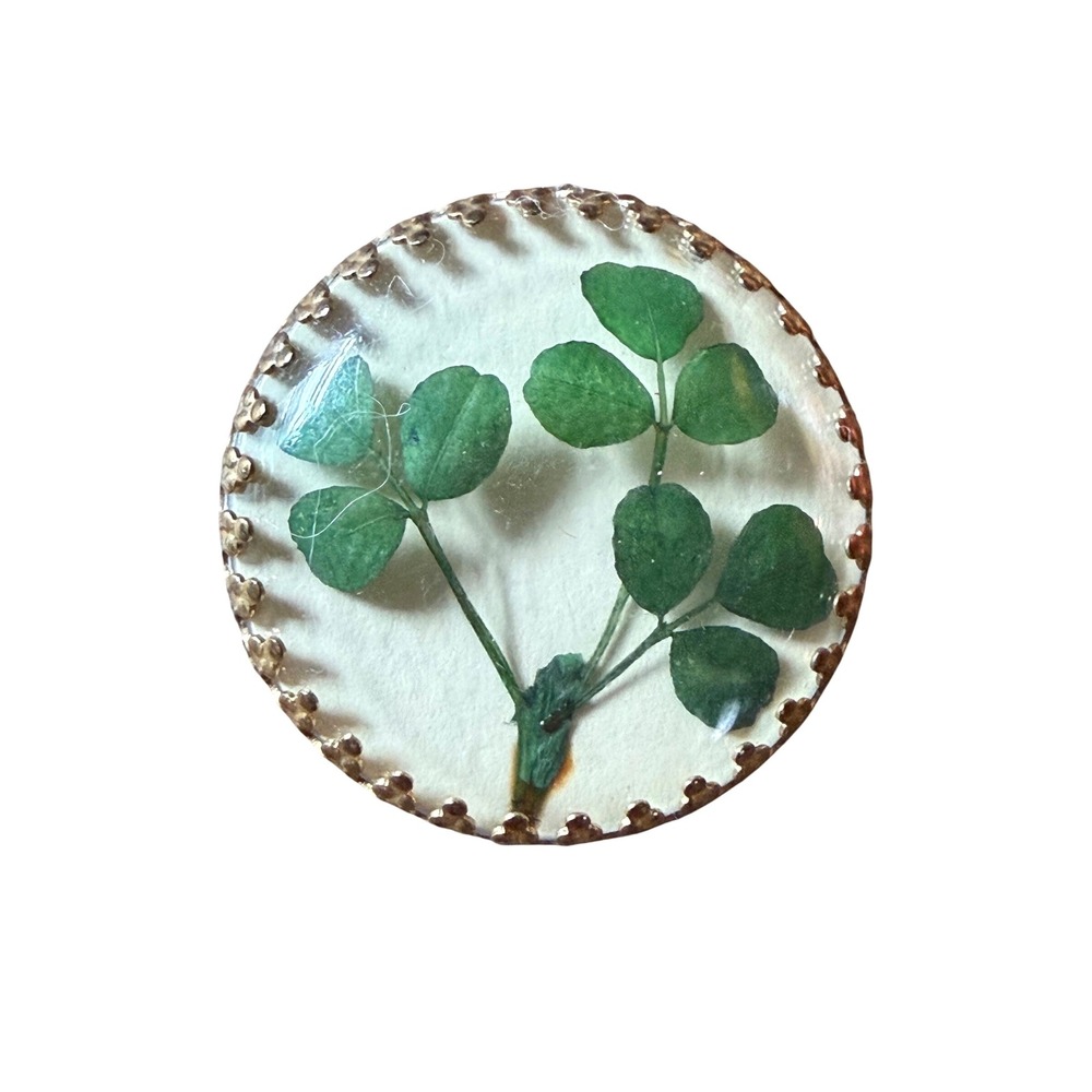 Vintage Real Pressed Clover Brooch Gold Tone Scalloped Edge Round Resin Pin Luck